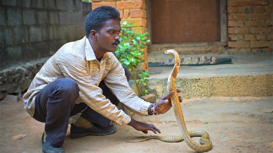 Начнём с того, что так вам точно не стоит делать!