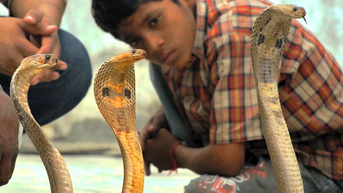 Ребята, давайте как на репетиции!