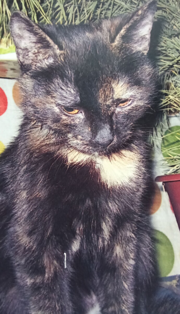 Фото автора из личного архива. 