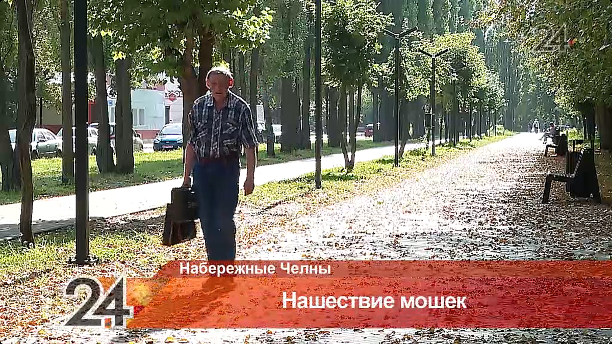 Скриншот из видеосжета