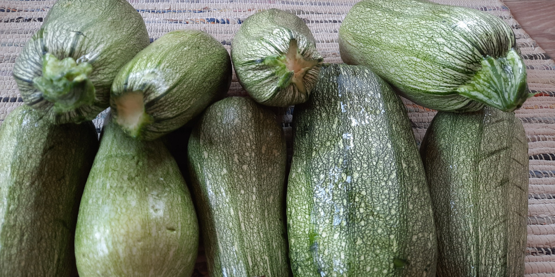 Кабачки. Раздать нельзя хранить! Где должна быть запятая?