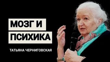 Как успокоить нервы и достичь внутреннего баланса? Лекция Татьяны Черниговской о влиянии шоколада и бананов на нервную систему