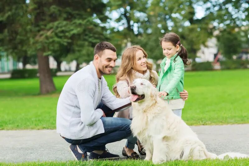 фото: https://www.dreamstime.com/stock-photo-happy-family-labrador-retriever-dog-park-pet-domestic-animal-people-concept-walk-summer-image71126901