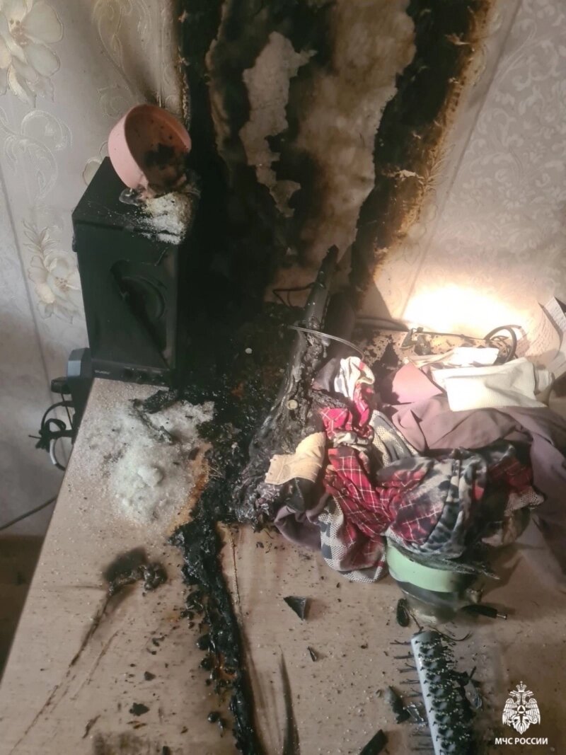    Фото: ГУ МЧС по Ульяновской области