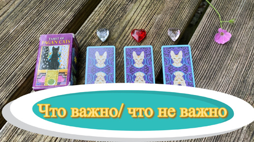 ЧТО ВАЖНО И ЧТО НЕ ВАЖНО? 💯☺️ гадание на таро Tarot Reading