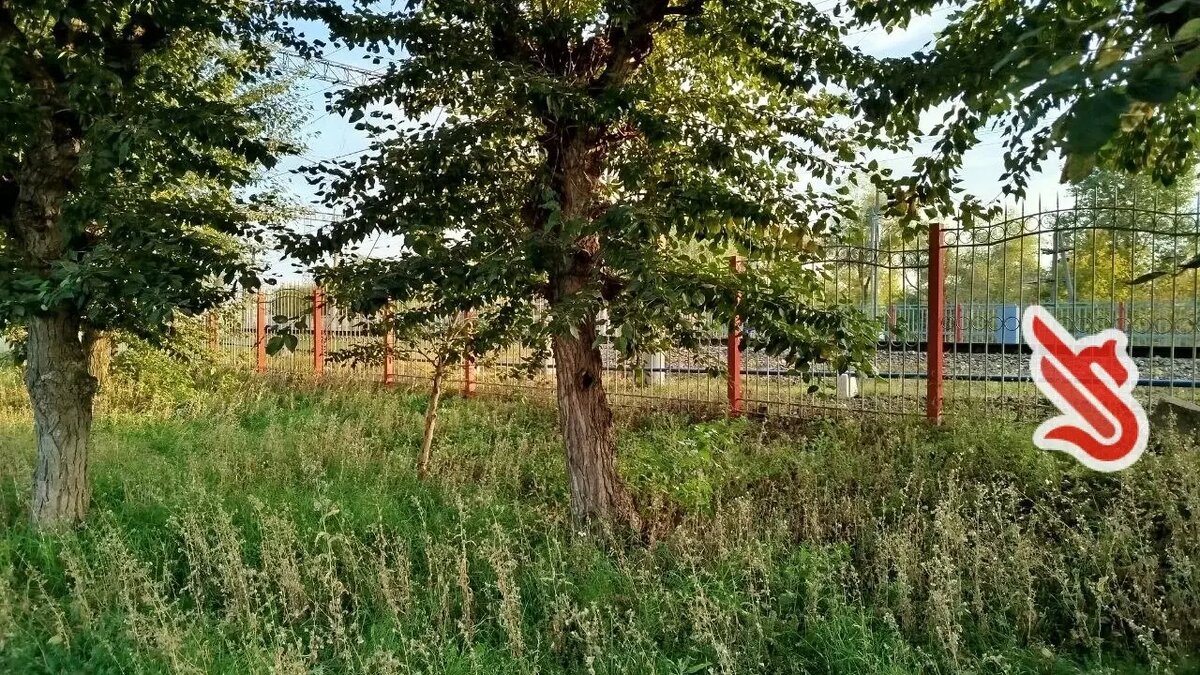     Автор: Олег Источник: inkazan.ru