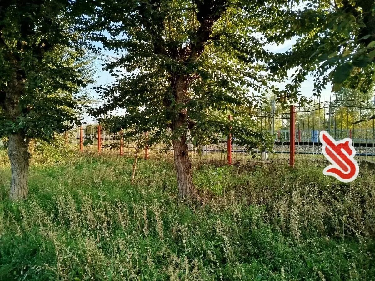     Автор: Олег Источник: inkazan.ru