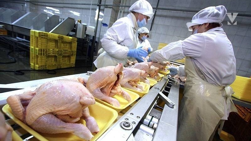    Ставрополье экспортирует мясную продукцию Фото: минсельхоз СК