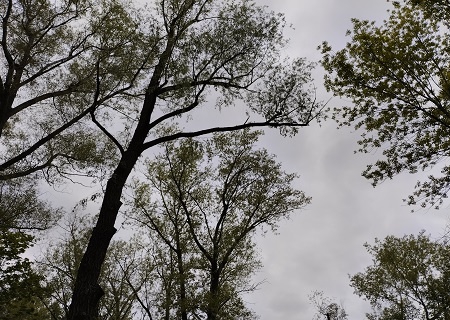 Фотография из личного архива автора