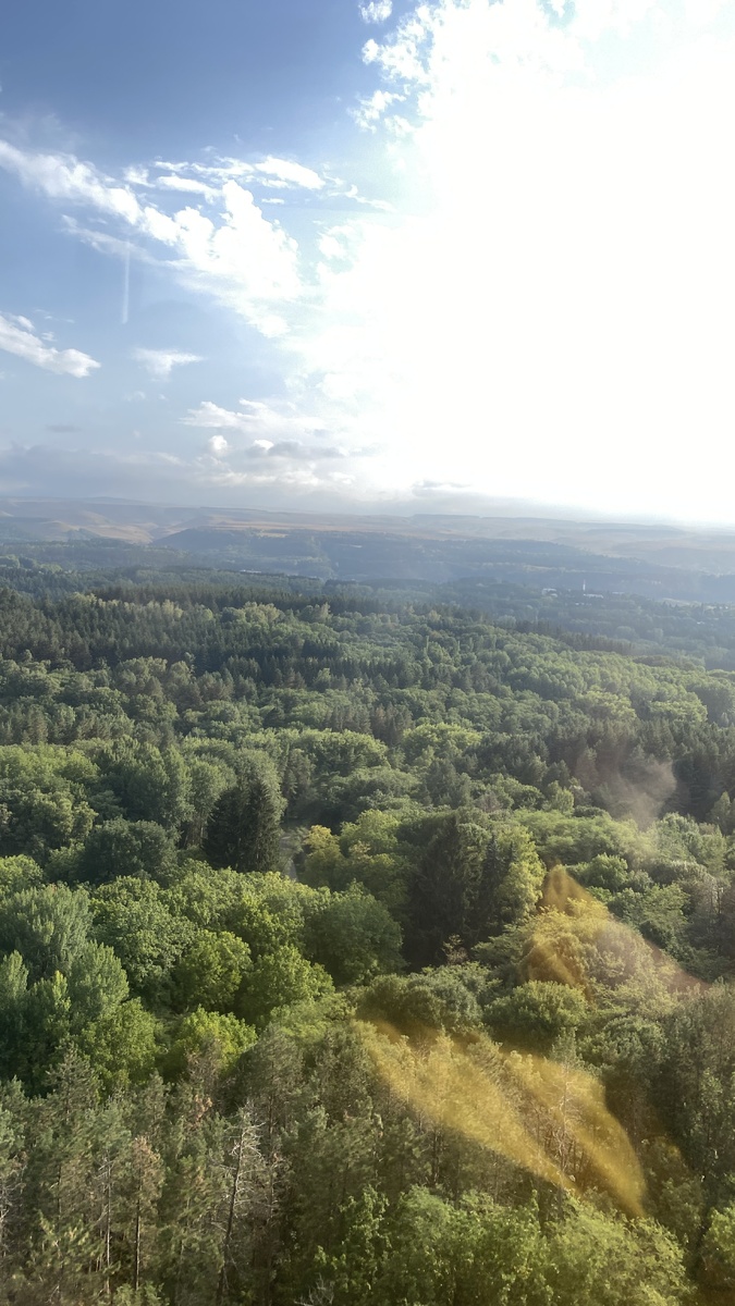 Фото из архив автора