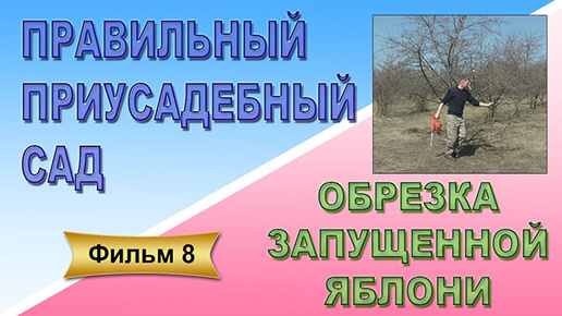 Правильный приусадебный сад Фильм 8 Обрезка запущенной яблони