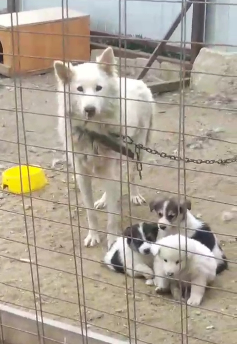 ППБЖ, г. Якутск 2024г.