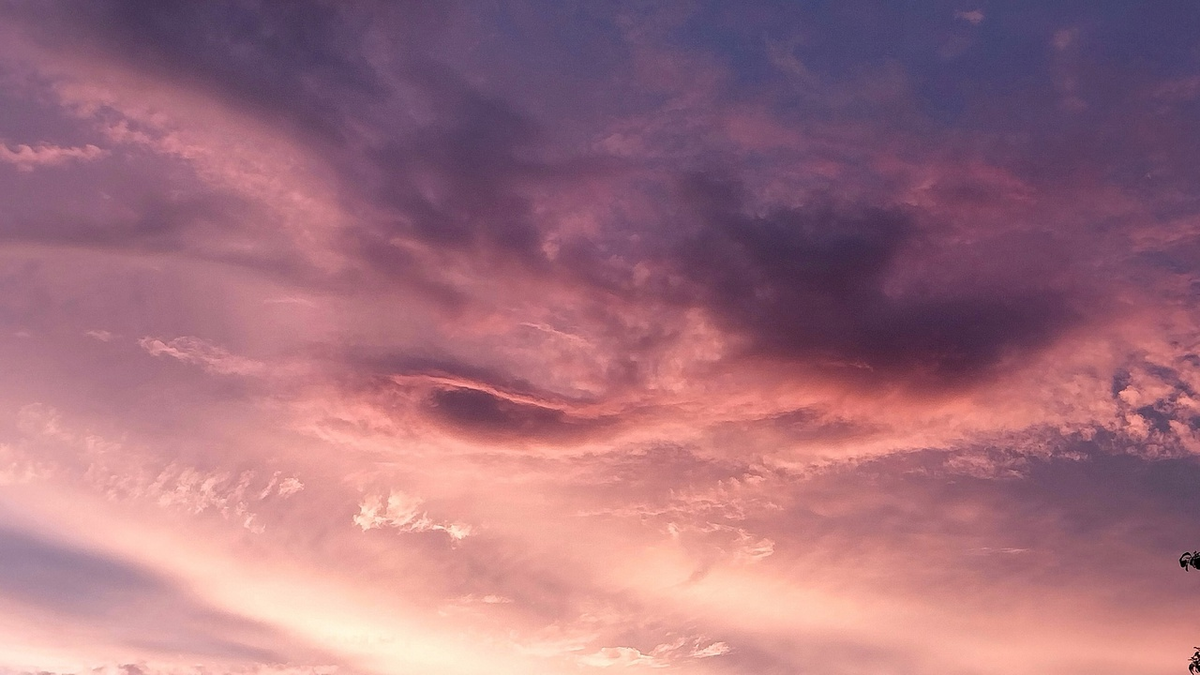 Фото Петра Солдатова. 