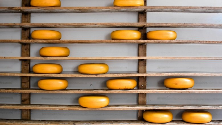 Источник: Nienke Burgers/CC0