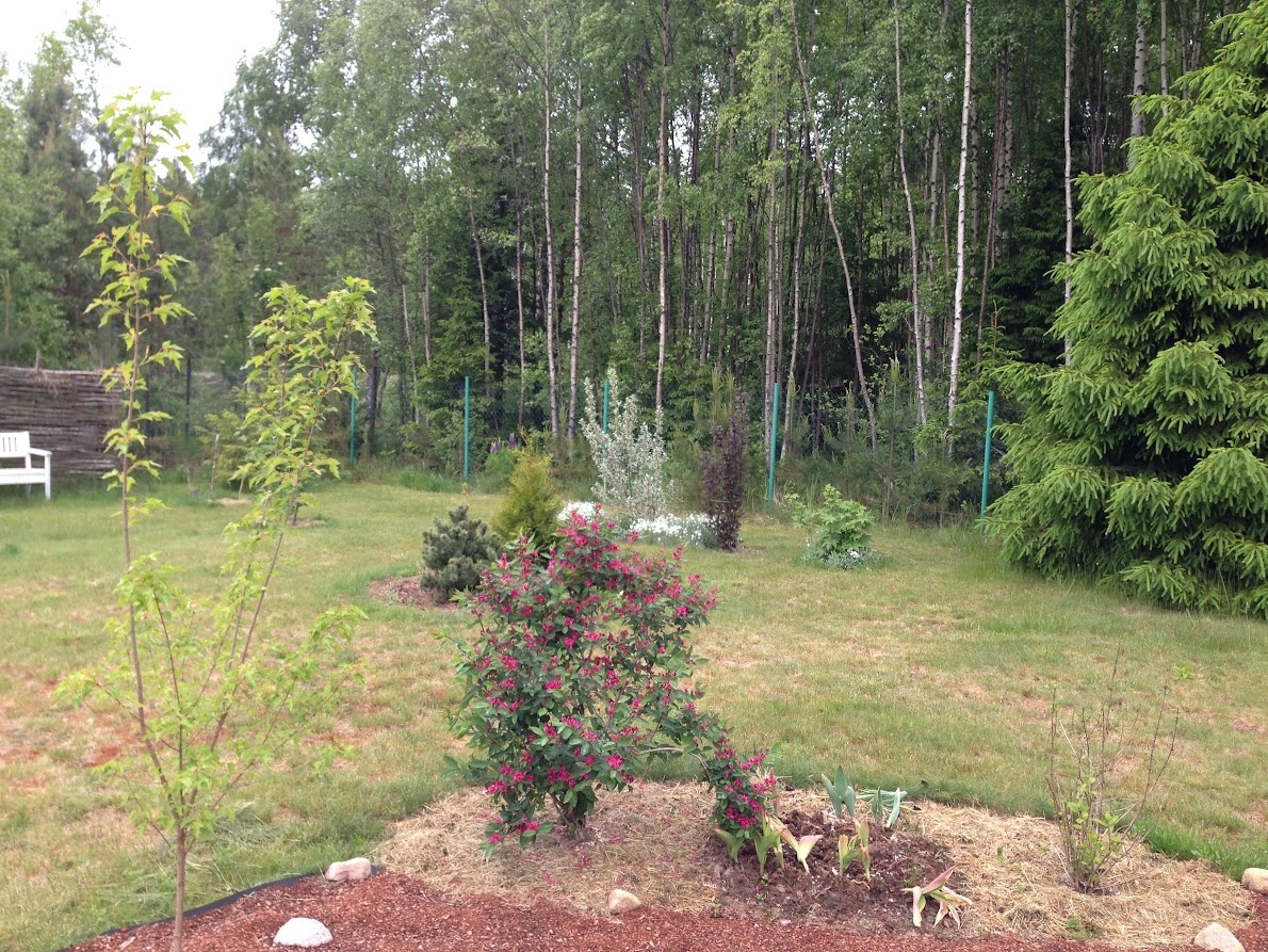 2017 в глубине кадра 