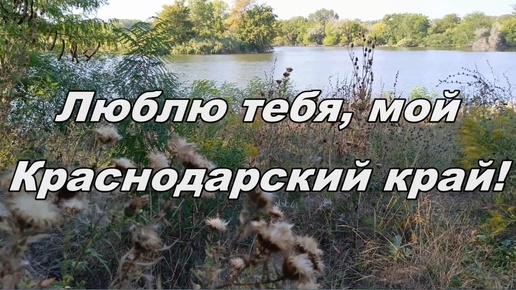 Люблю тебя, мой Краснодарский край!