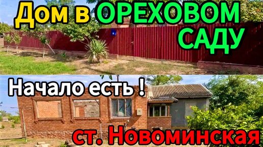 🏡Продаётся дом 28м2🦯25 соток🦯газ по меже🦯вода 🦯1 100 000 ₽🦯станица Новоминская🦯89245404992 Виктор С🌴