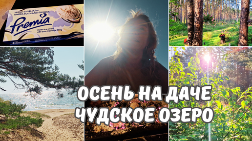 Осень на даче.Сентябрь,а мы купаемся!Чудское озеро.Новое мороженое и кофе.Печеная картошка на углях