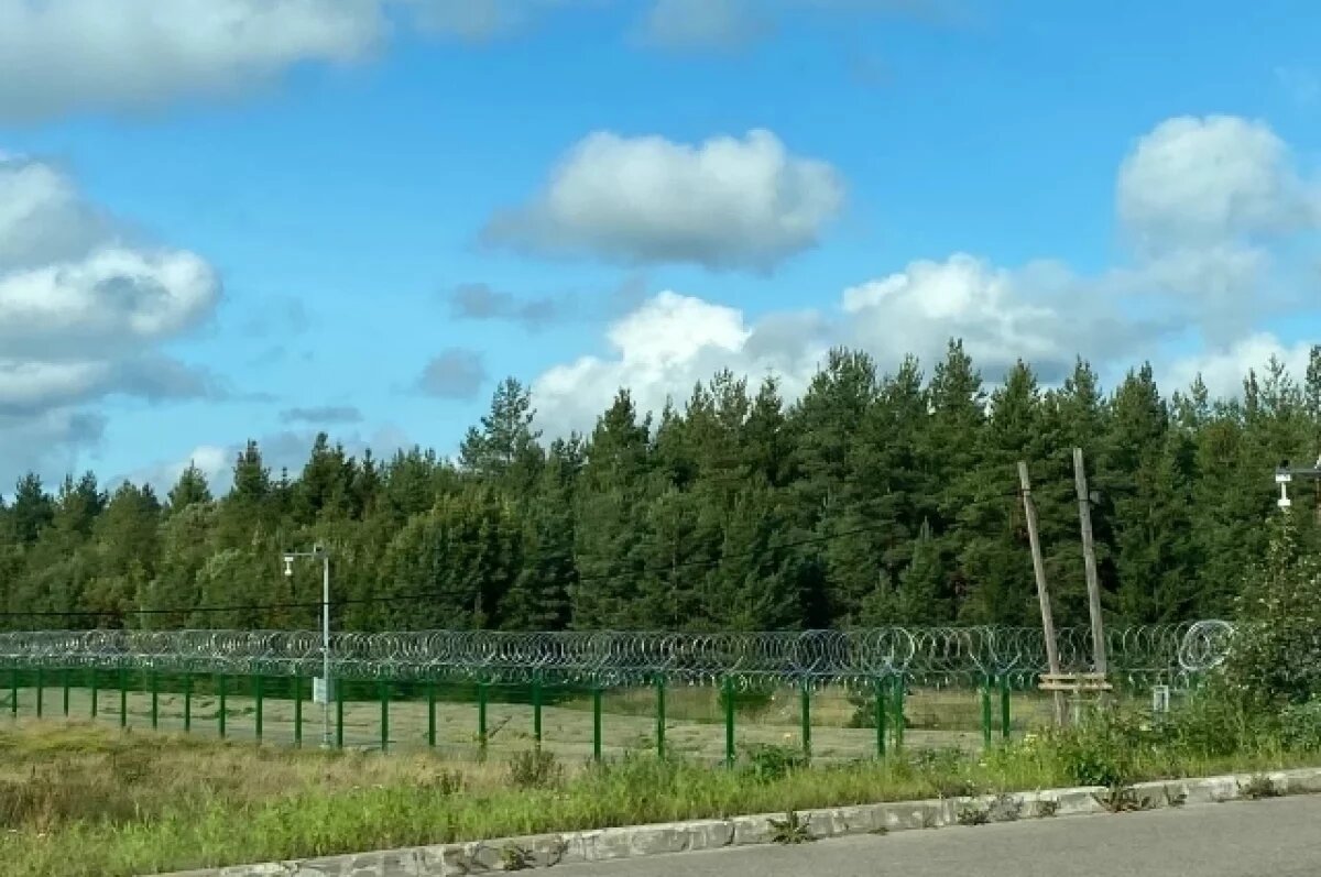    Школьники из Финляндии незаконно пересекли границу с РФ в ходе экскурсии