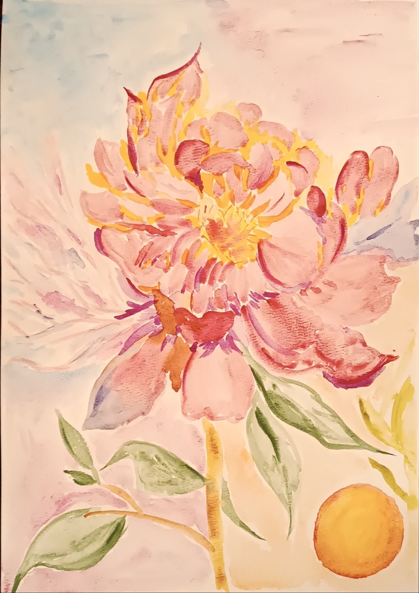 Цветок на закате