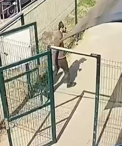 Скриншот видео ТГ-канала "Краснодар и край". 