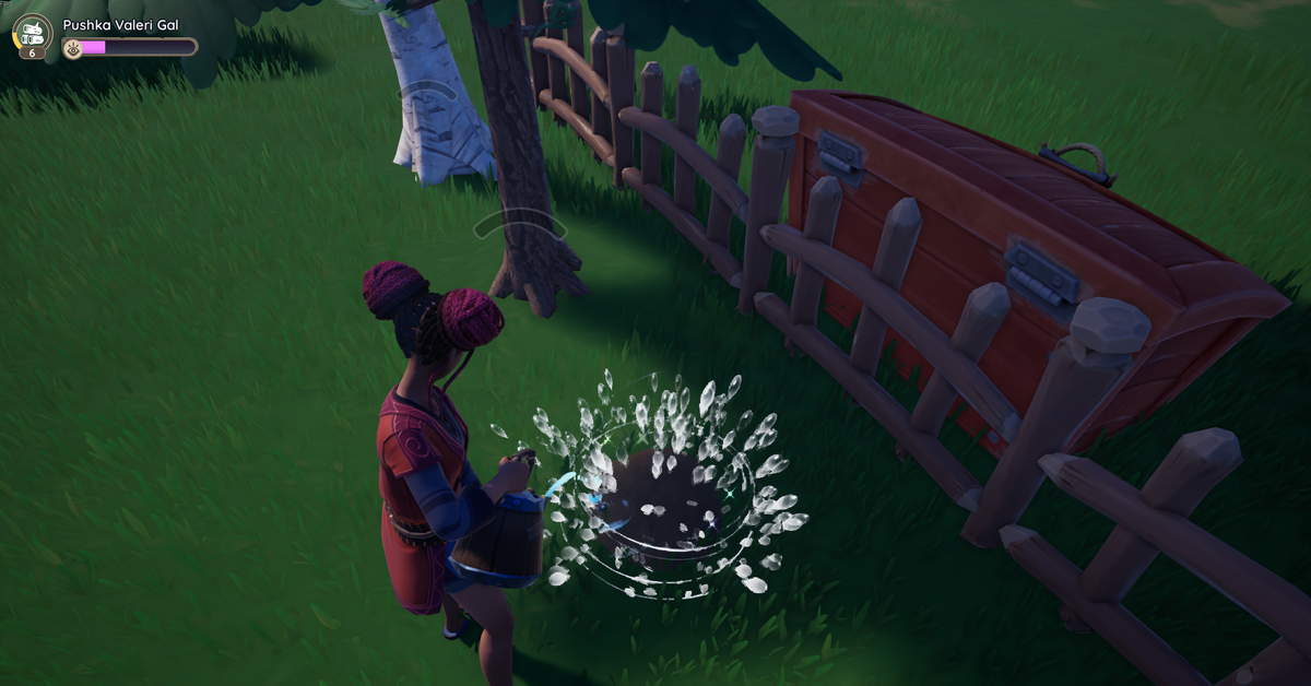 Полив деревьев