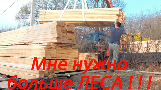 Заказываем 7 кубов леса