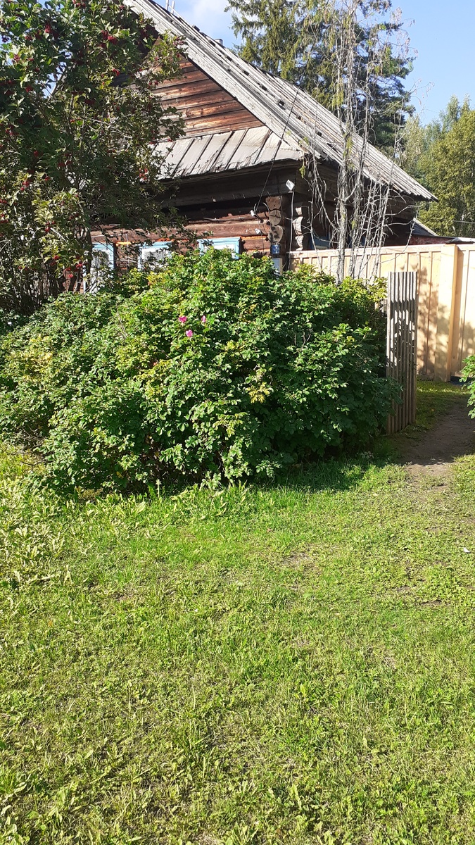 В этом домике живёт наш"спаситель", внутри выглядит скромно ,но уютно и очень чисто.