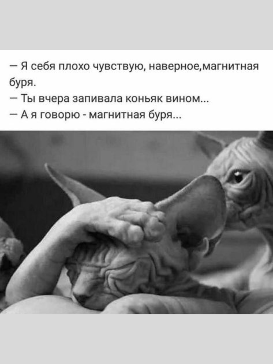 Смешные картинки мемы. Картинки прикольные смешные с надписями. До слез новая. До слез новая. До слез новая.