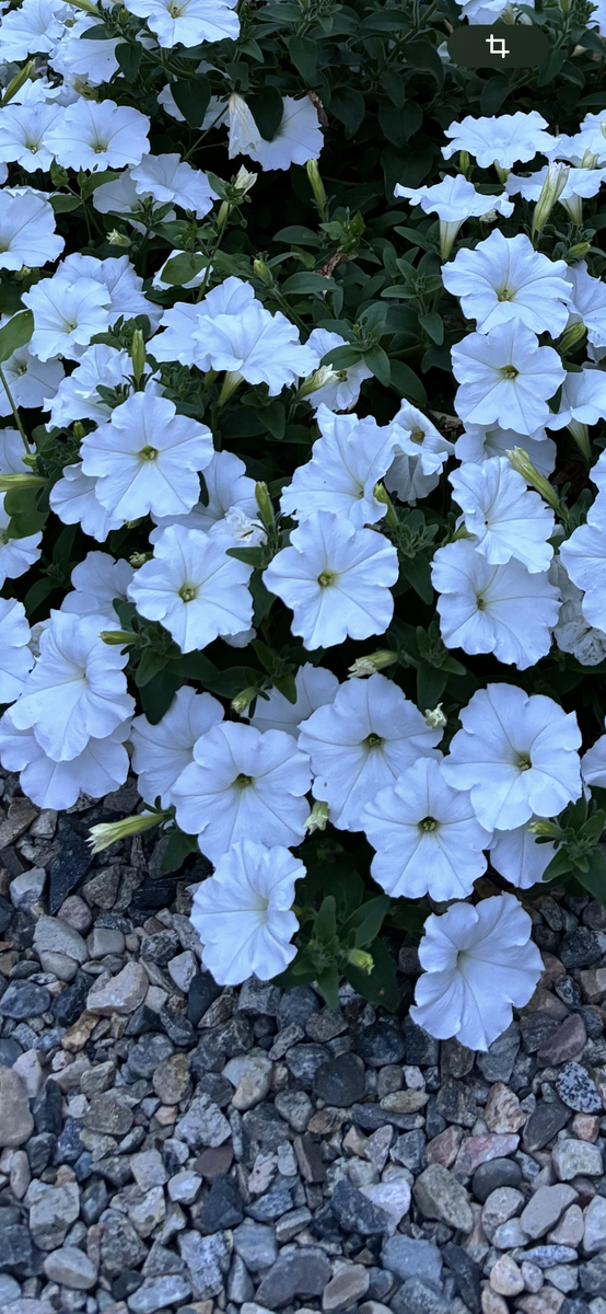 Из личного архива