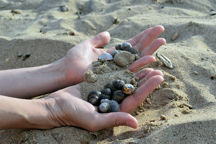    Фото Натальи Сабанцевой