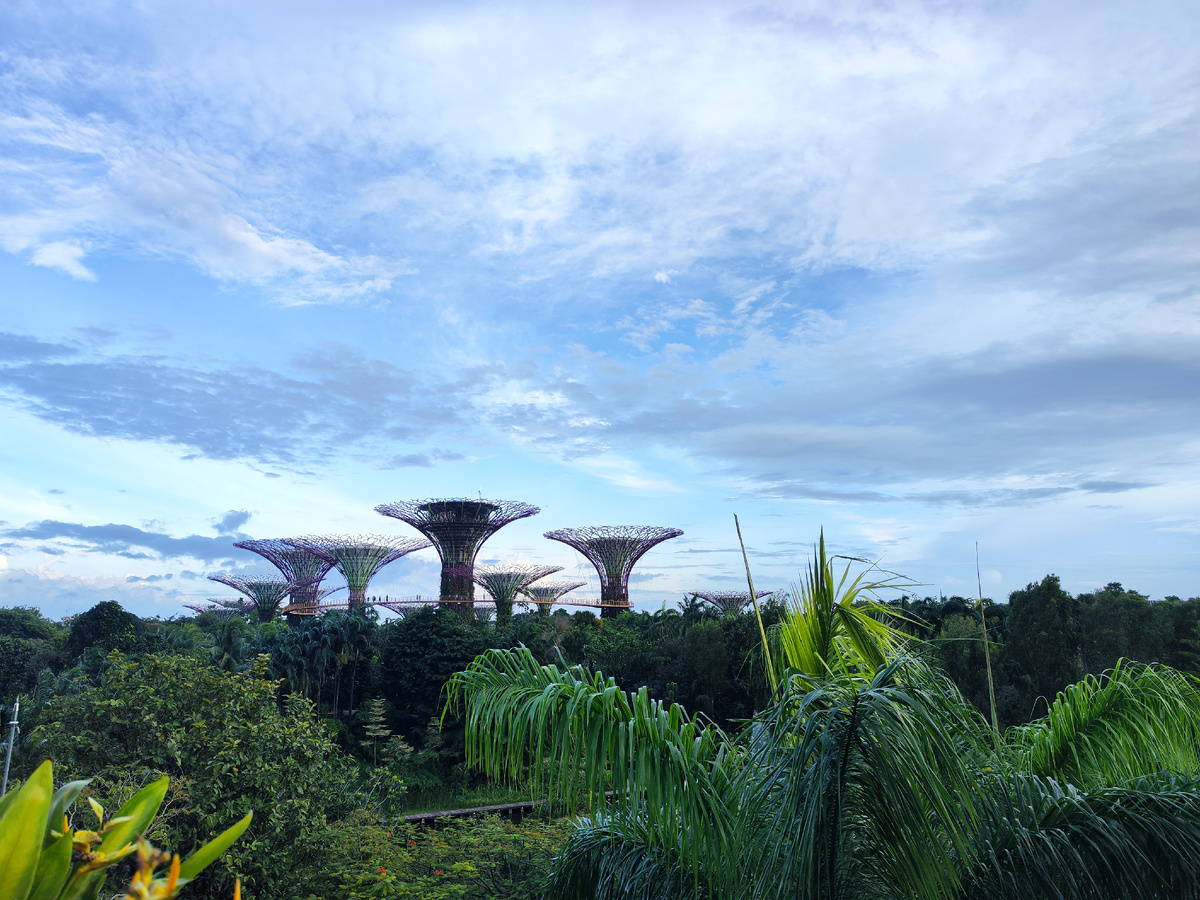 Gardens by the Bay в Сингапуре (наша поездка)