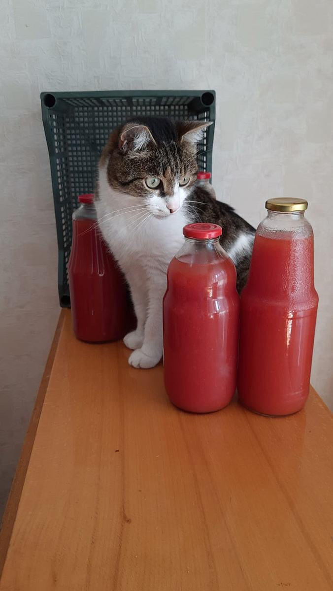 Листайте фото, увидите хвостатого помощника в деле!