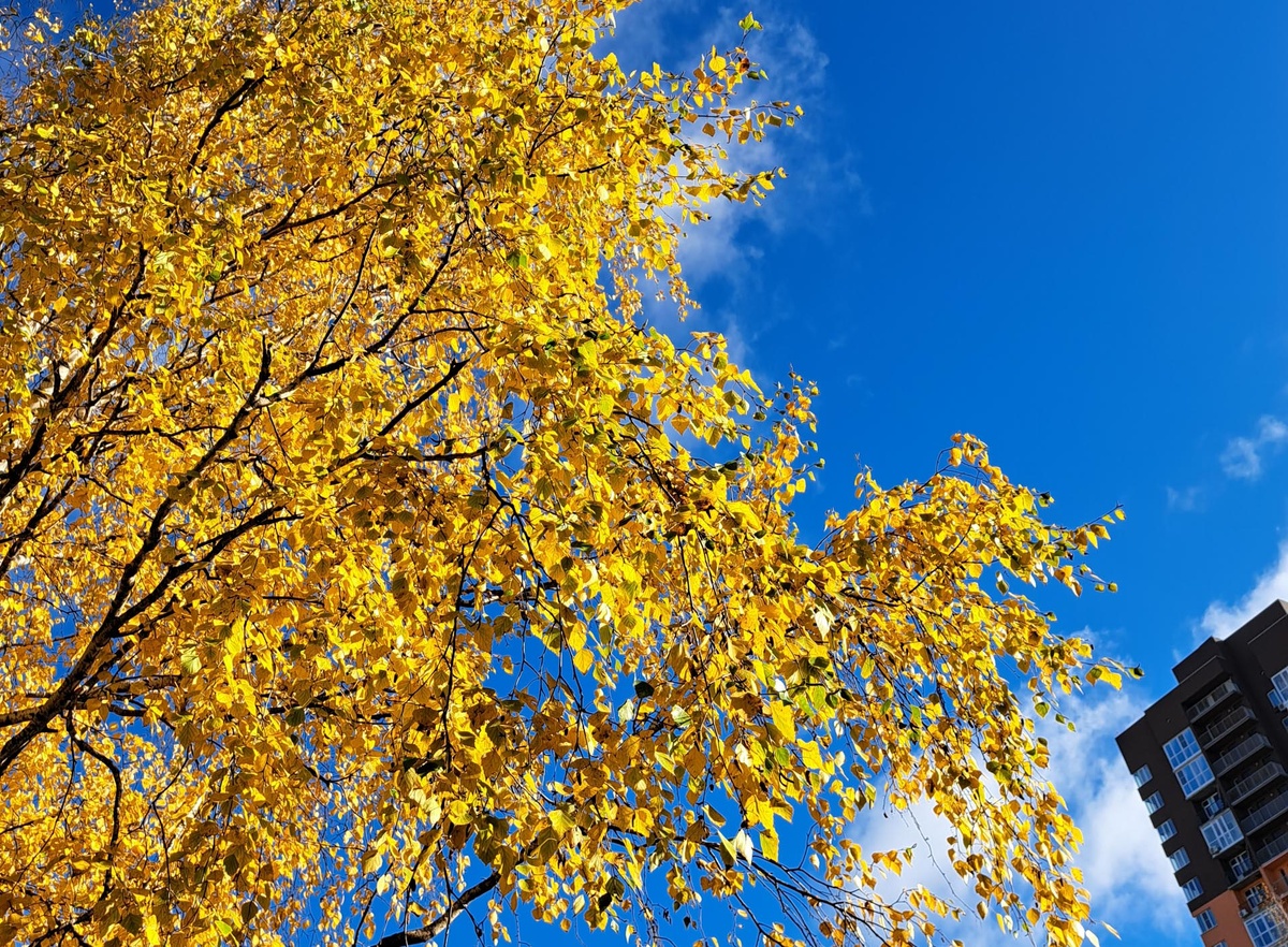 На улице будет пасмурно.  Фото: Фото: ФедералПресс / Вера Романескул