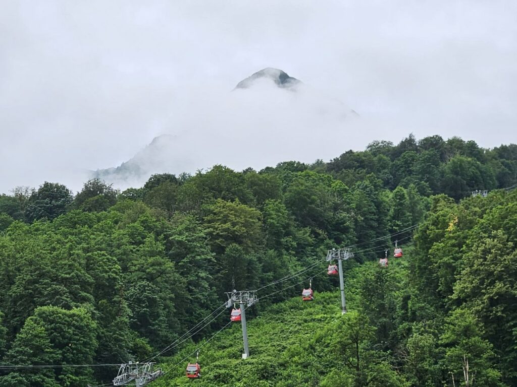    Фото: Виктория Рябченко, «Краснодарские известия»