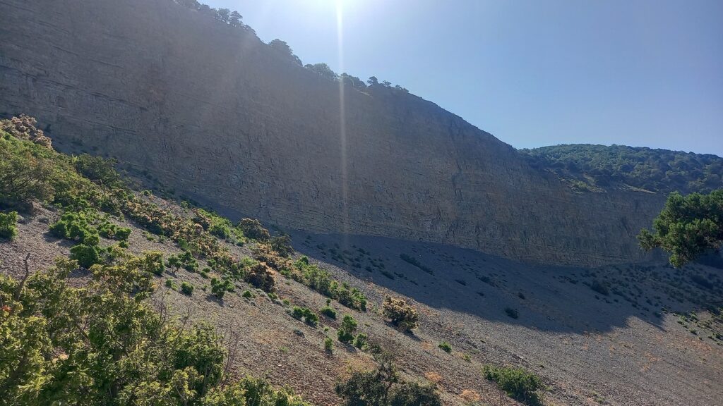    Фото: Наталия Фатеева, «Краснодарские известия»