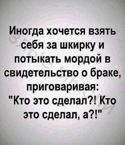 ���� �� ���������