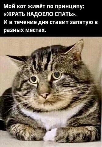 ���� �� ���������