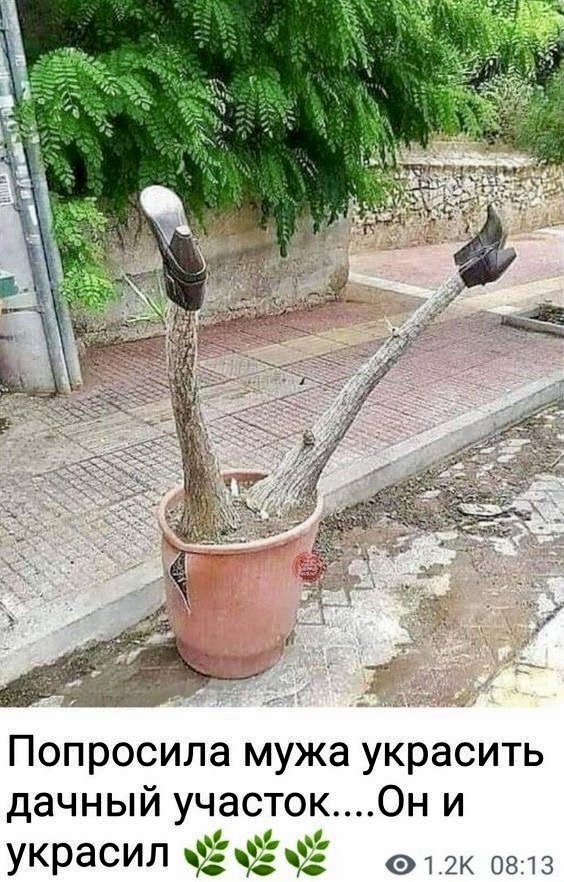 ���� �� ���������