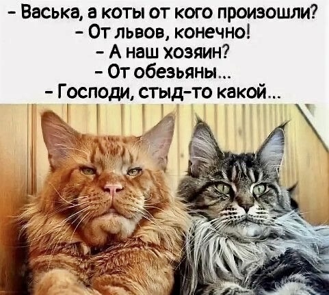 ���� �� ���������