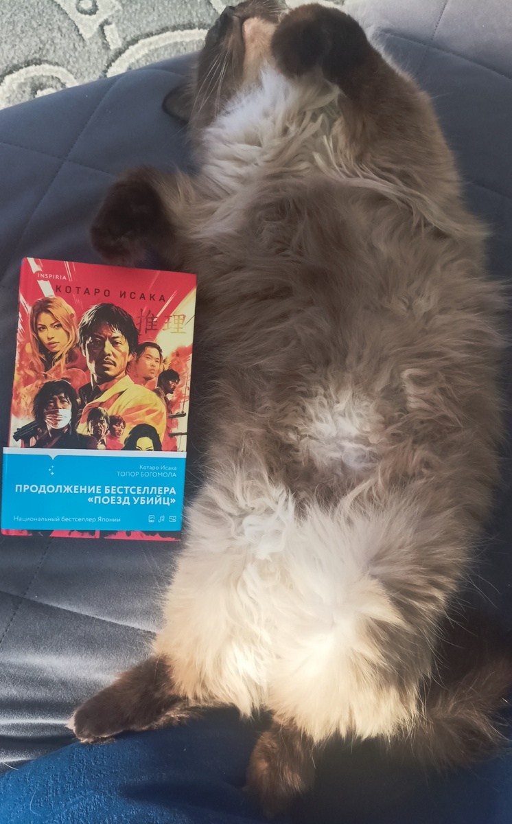 Сегодня читаемую книгу представляет релаксирующая Джеська. 