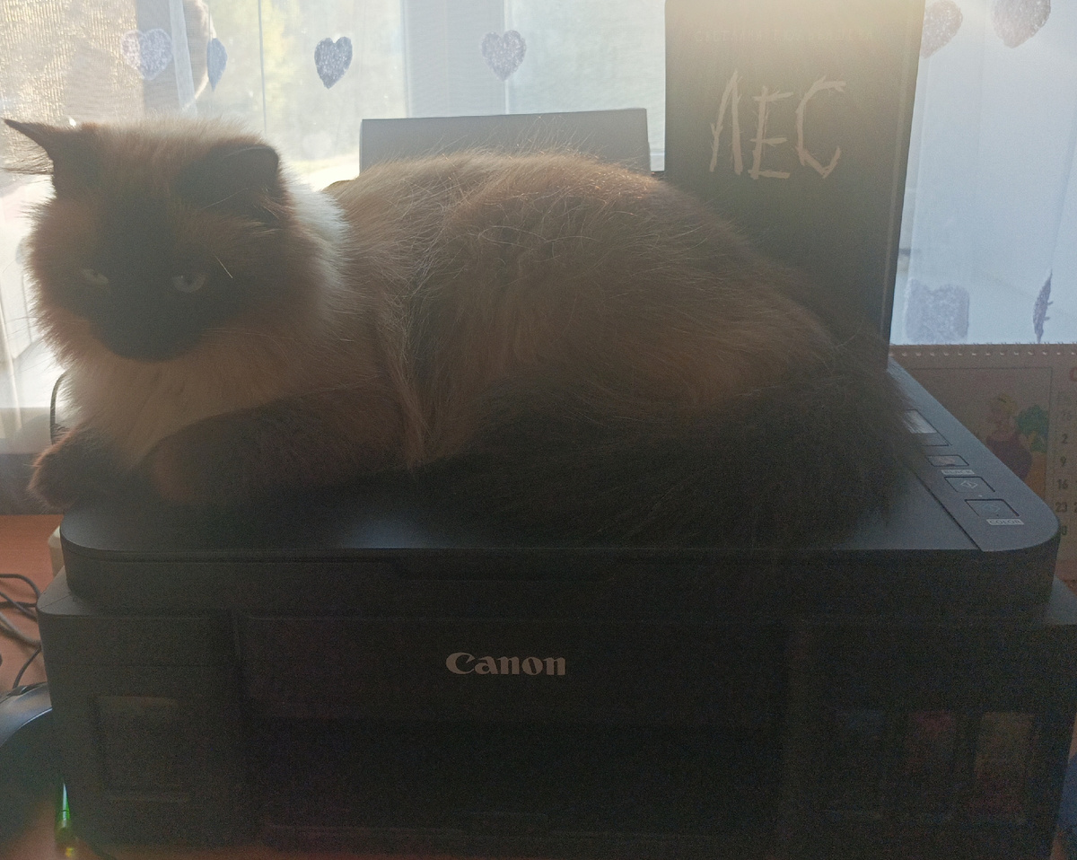 Сегодня книгу представляет Джессика, застигнутая мной в непривычной для себя локации (наблюдает, как я пишу статью). 