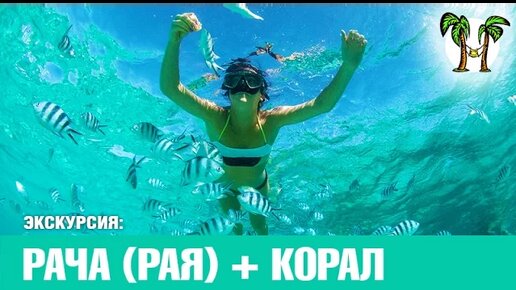 Острова Рача + Корал за 1 день _ Racha + Coral Islands for 1 day