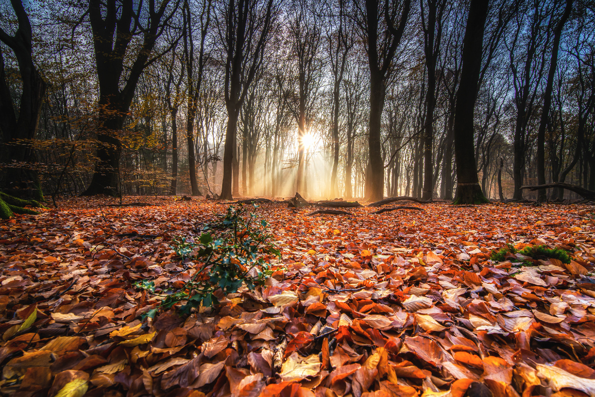 Фото: freepik.com