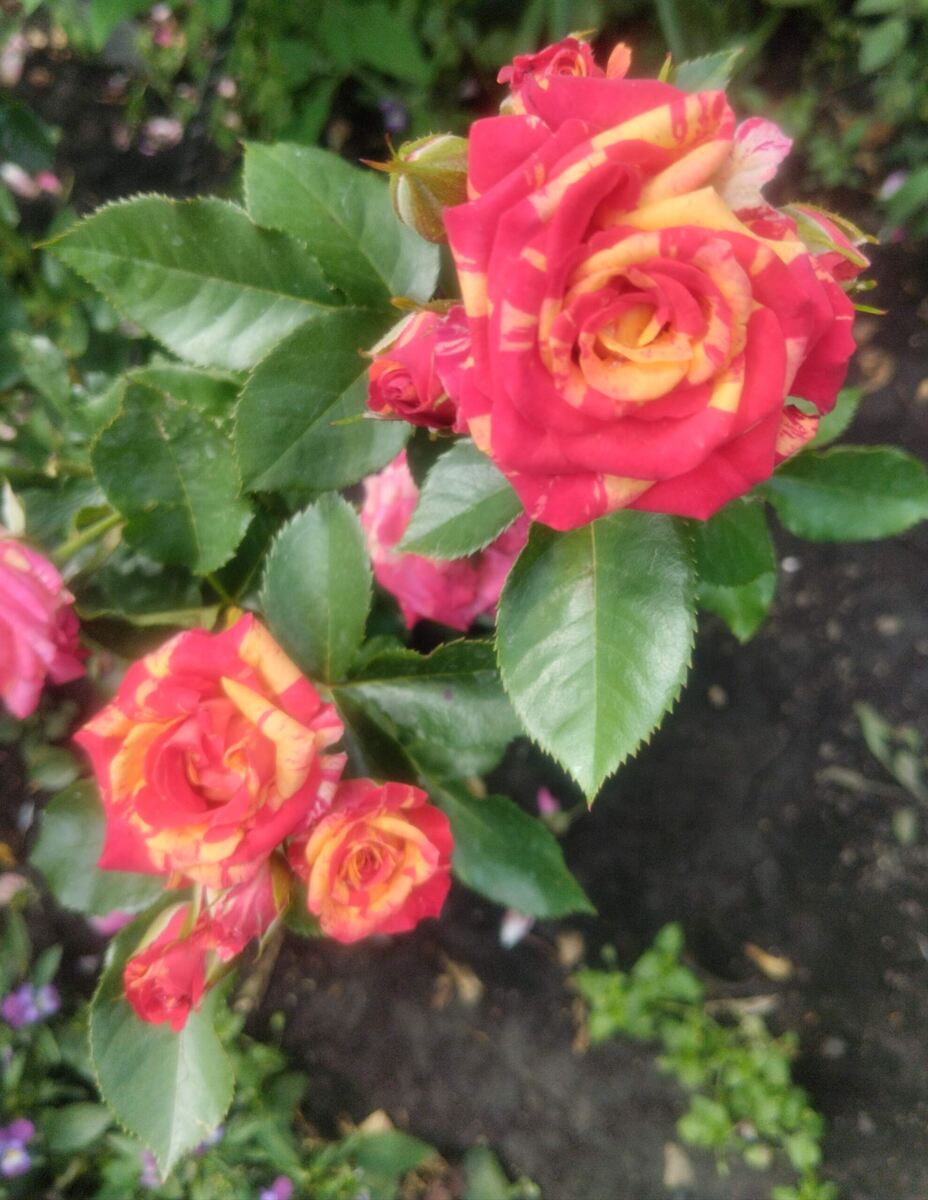 фото Татьяны