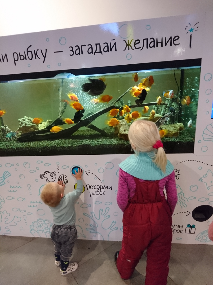 Аквариум 
