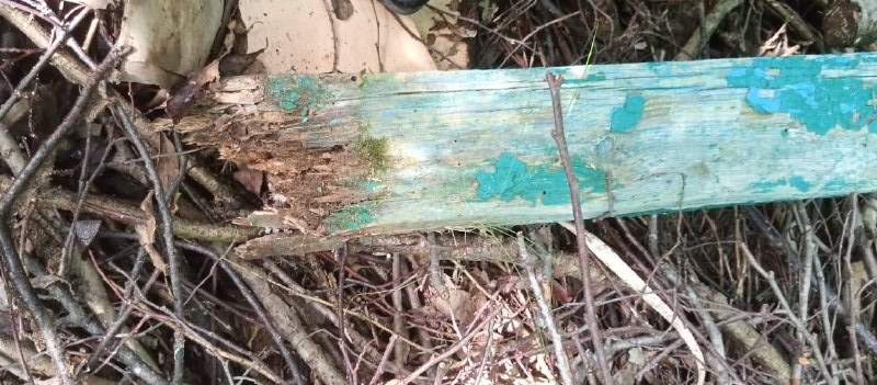 В Тверской области СК завел уголовное дело после проверки ЧП в детсаду