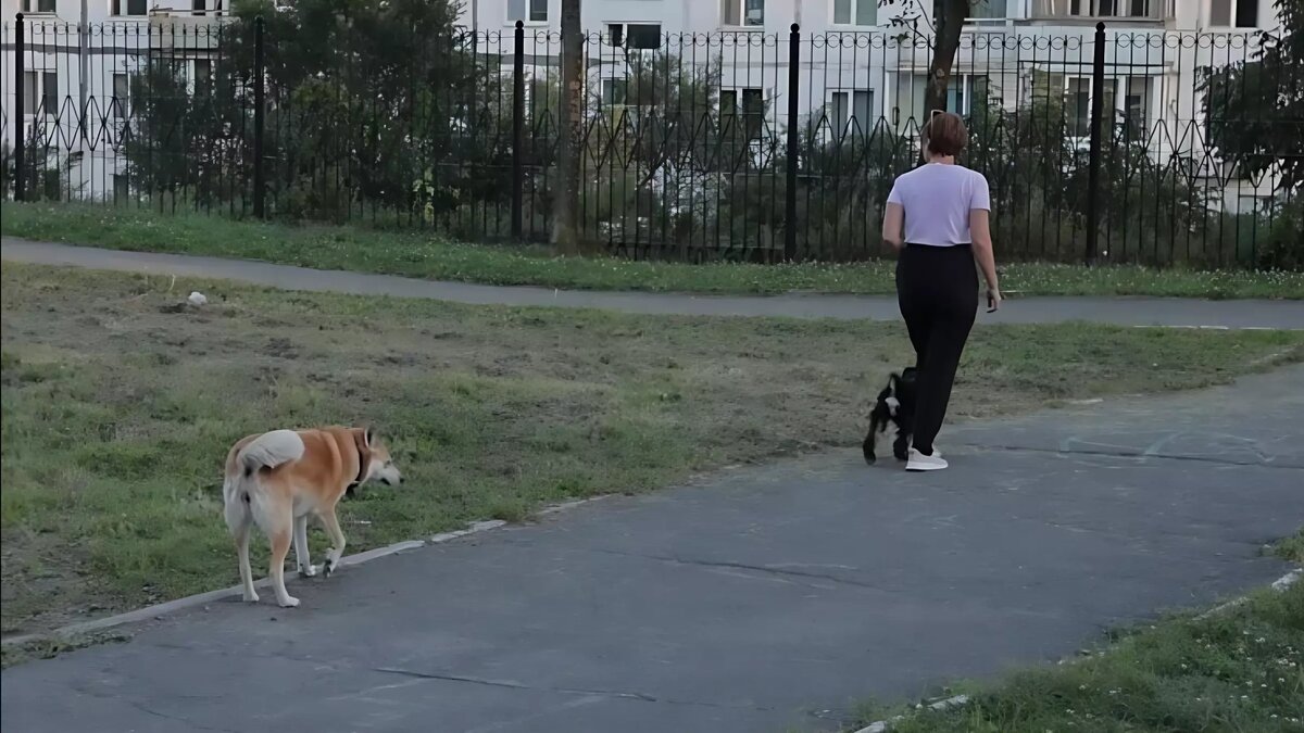     Автор: пресс-служба администрации Владивостока Источник: vlc.ru