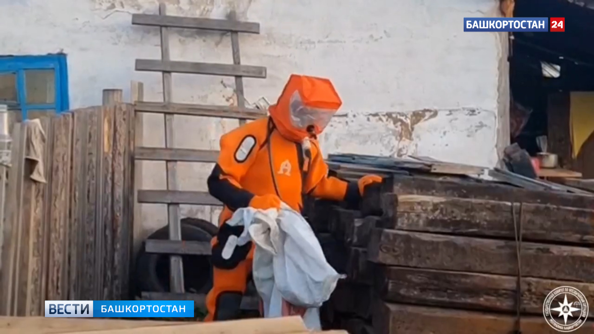    В Башкирии спасатели вынесли с чердака дома два улья шершней