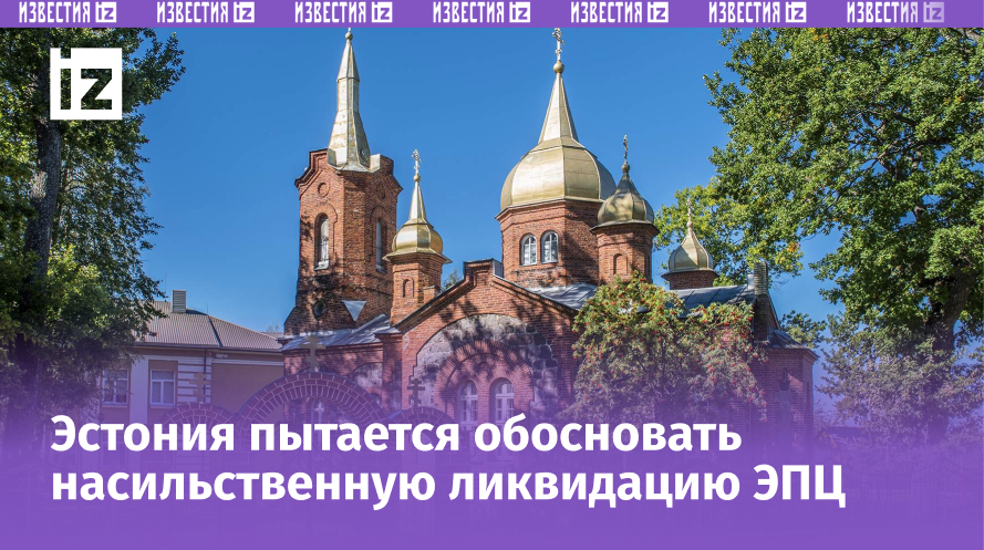 Фото: Global Look Press/IMAGO/Matthias Graben 